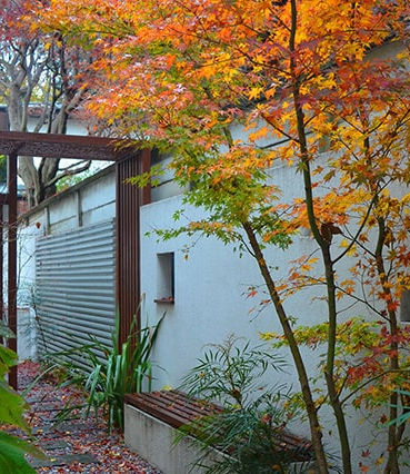 庭木植える場所・・・もともと自生していた原産地に似た環境