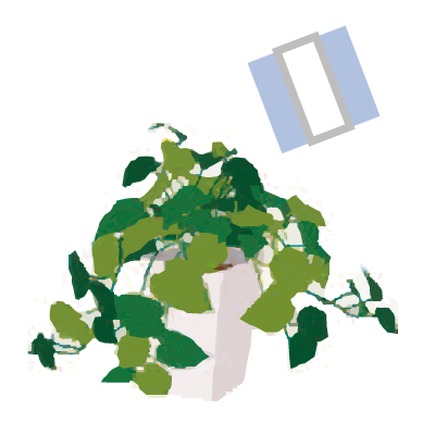 プレゼント イメージ画像