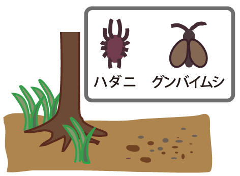 病害虫対策