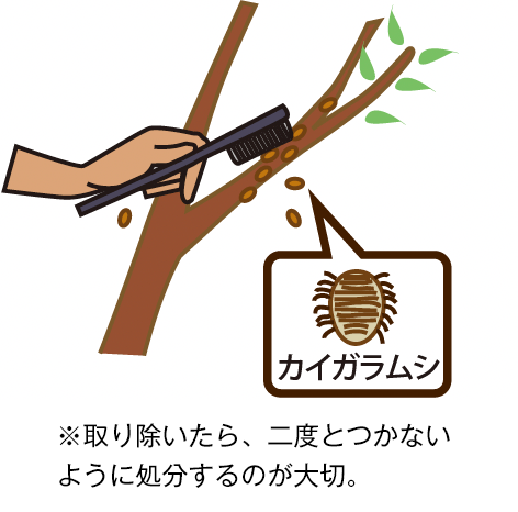 病害虫対策