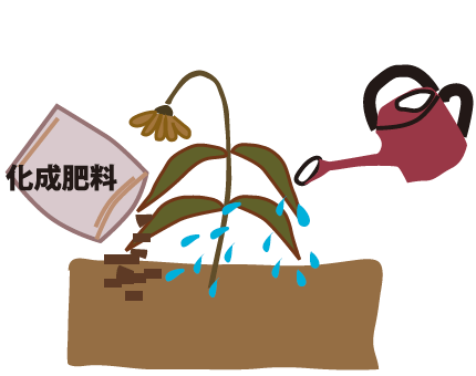 草花のお手入れ
