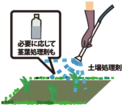 芝生のお手入れ
