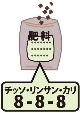 芝生のお手入れ