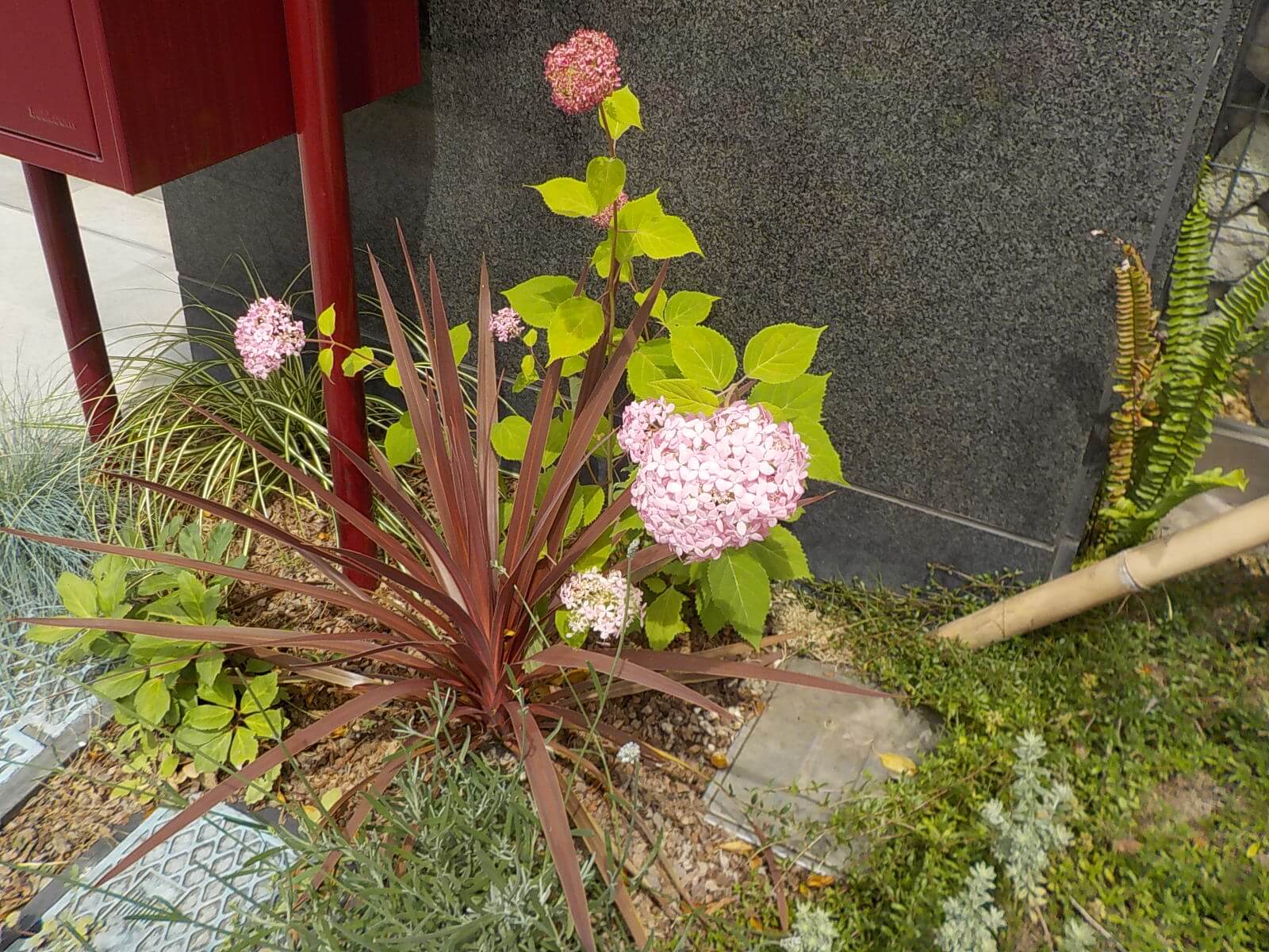 紫陽花が見ごろです おしゃれでモダンなエクステリアと庭の外構業者は受賞歴多数ザ シーズン東京本店
